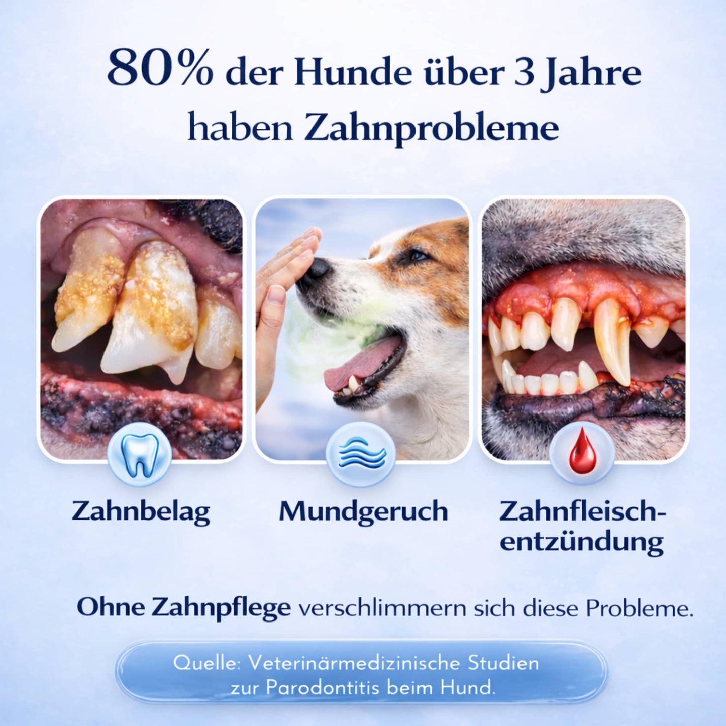 Premium Zahngel für Hunde