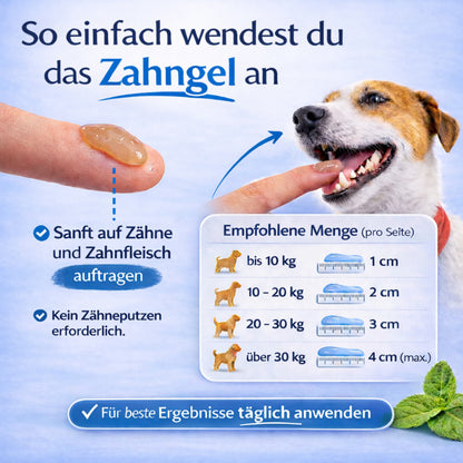 Premium Zahngel für Hunde