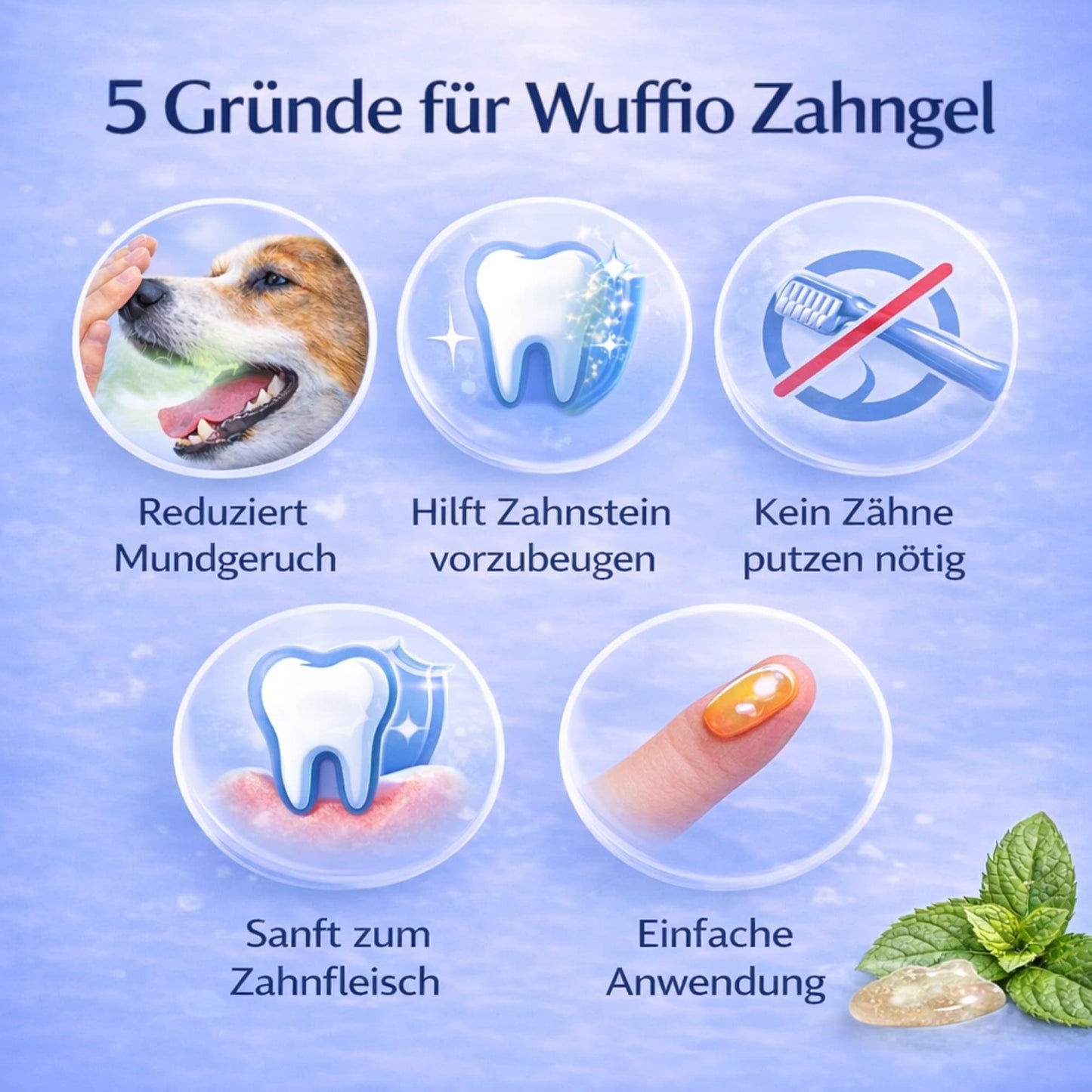 Premium Zahngel für Hunde