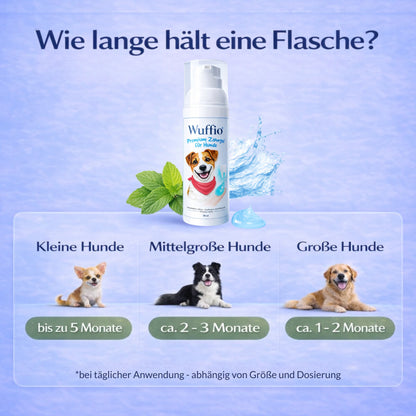 Premium Zahngel für Hunde
